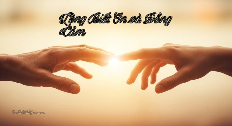 Lòng Biết Ơn và Đồng Cảm Biết ơn và đồng cảm