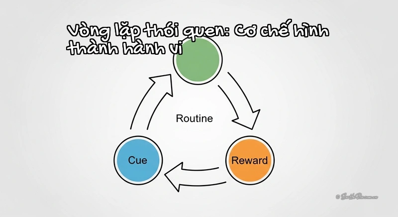 Vòng lặp thói quen: Cơ chế hình thành hành vi Infographic vòng lặp thói quen