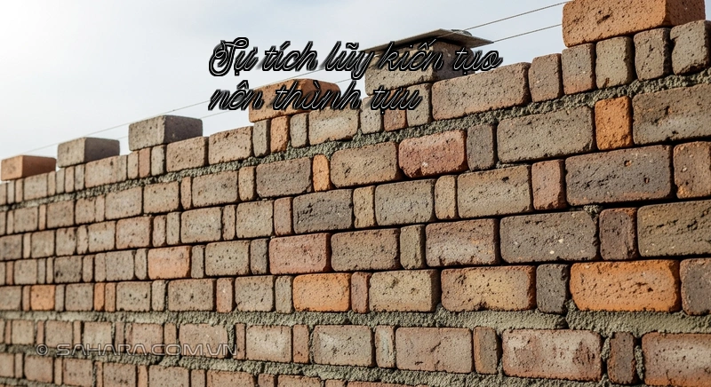 Sự tích lũy kiến tạo nên thành tựu Những viên gạch nhỏ xếp thành bức tường lớn