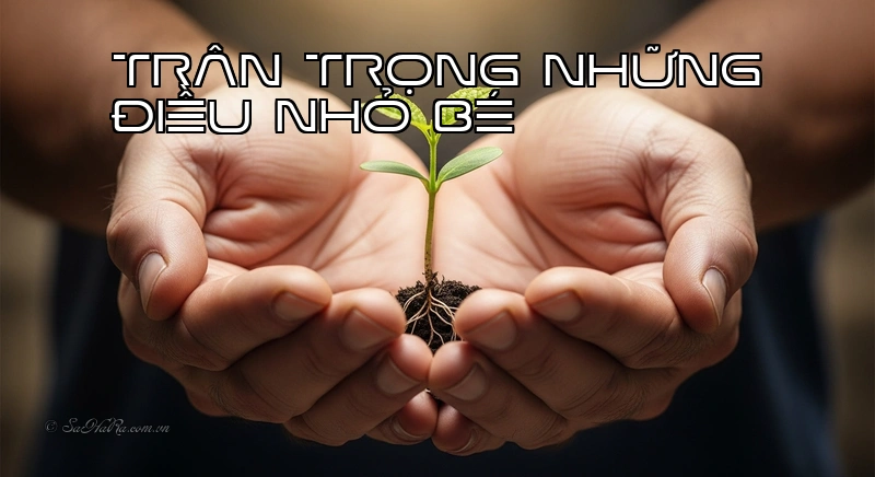 Trân trọng những điều nhỏ bé Bàn tay nâng niu hạt mầm