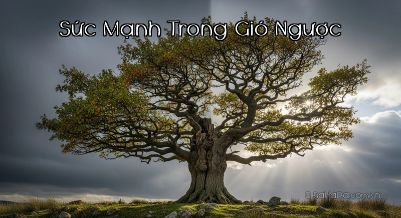 Sức Mạnh Trong Gió Ngược Cây sồi mạnh mẽ trong gió ngược